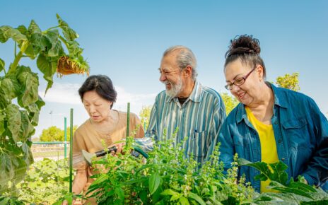 Advancing Equity through CA Master Plan for Aging
